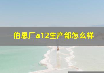 伯恩厂a12生产部怎么样