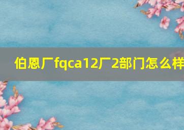 伯恩厂fqca12厂2部门怎么样