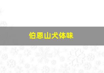 伯恩山犬体味