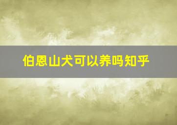 伯恩山犬可以养吗知乎