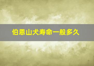 伯恩山犬寿命一般多久