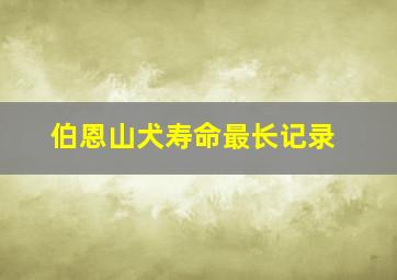 伯恩山犬寿命最长记录