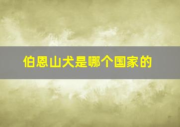 伯恩山犬是哪个国家的