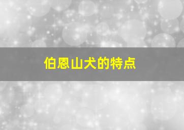 伯恩山犬的特点