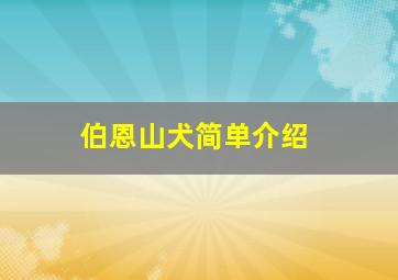 伯恩山犬简单介绍