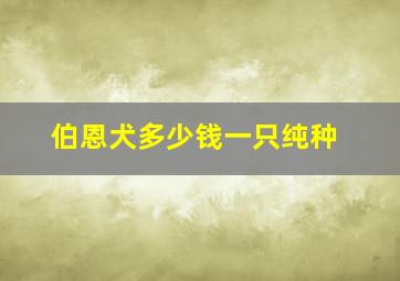 伯恩犬多少钱一只纯种