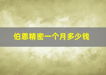 伯恩精密一个月多少钱