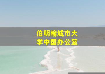 伯明翰城市大学中国办公室