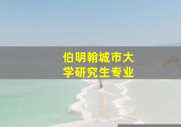 伯明翰城市大学研究生专业