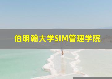 伯明翰大学SIM管理学院