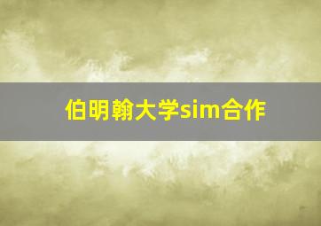 伯明翰大学sim合作