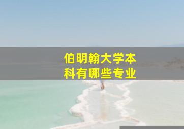 伯明翰大学本科有哪些专业