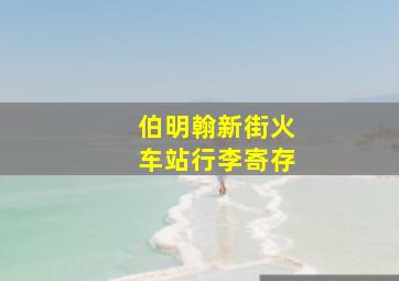 伯明翰新街火车站行李寄存