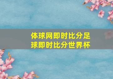 体球网即时比分足球即时比分世界杯