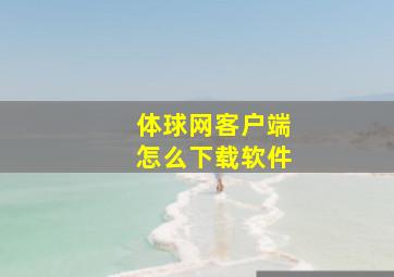 体球网客户端怎么下载软件