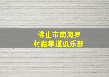 佛山市南海罗村跆拳道俱乐部