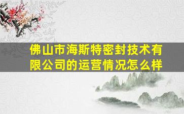 佛山市海斯特密封技术有限公司的运营情况怎么样