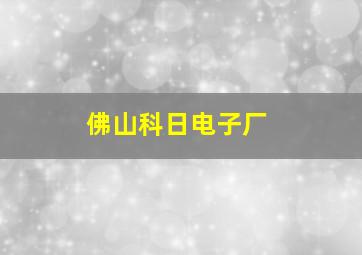 佛山科日电子厂