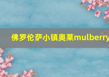 佛罗伦萨小镇奥莱mulberry