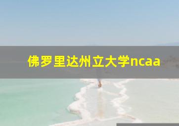 佛罗里达州立大学ncaa