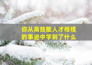 你从高技能人才楷模的事迹中学到了什么