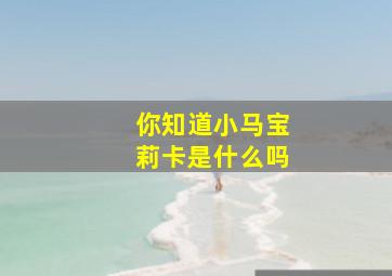 你知道小马宝莉卡是什么吗