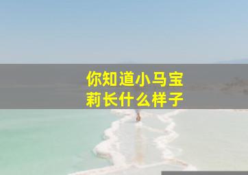 你知道小马宝莉长什么样子