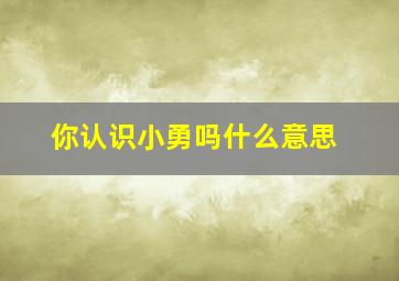 你认识小勇吗什么意思