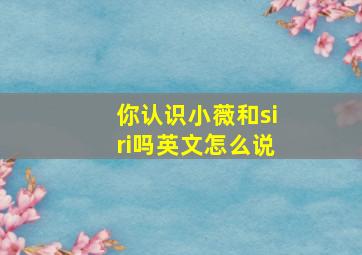 你认识小薇和siri吗英文怎么说