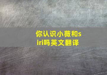 你认识小薇和siri吗英文翻译