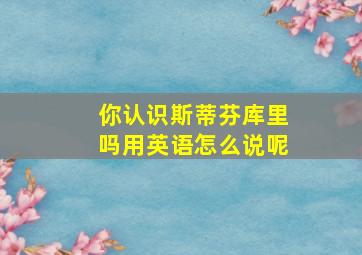 你认识斯蒂芬库里吗用英语怎么说呢