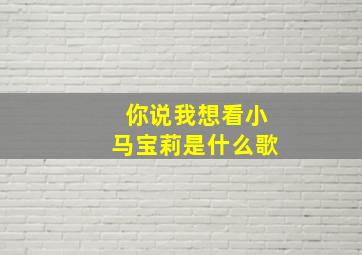 你说我想看小马宝莉是什么歌