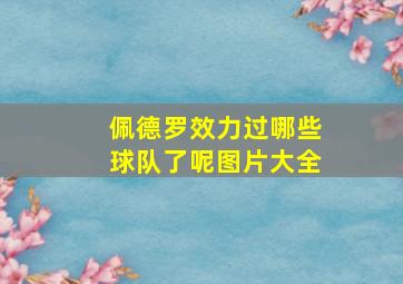 佩德罗效力过哪些球队了呢图片大全