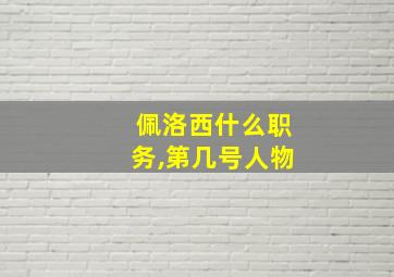 佩洛西什么职务,第几号人物