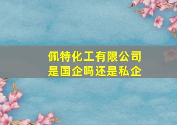 佩特化工有限公司是国企吗还是私企