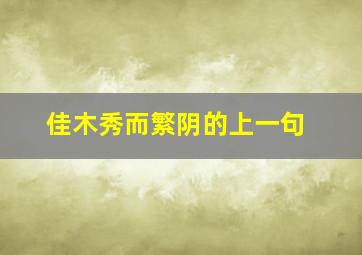 佳木秀而繁阴的上一句