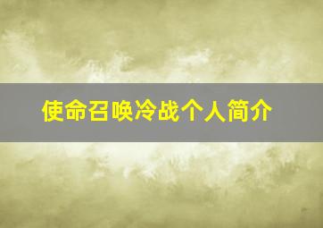 使命召唤冷战个人简介