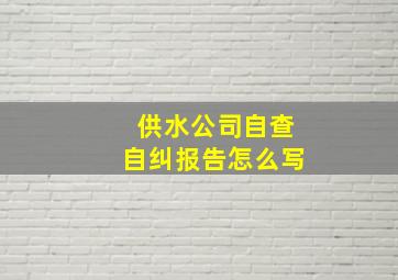 供水公司自查自纠报告怎么写