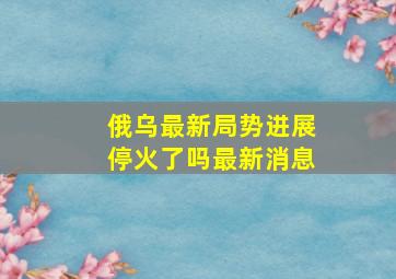 俄乌最新局势进展停火了吗最新消息