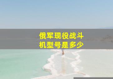 俄军现役战斗机型号是多少