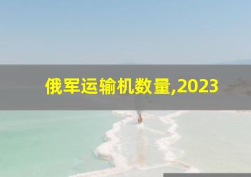 俄军运输机数量,2023