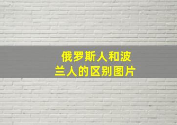 俄罗斯人和波兰人的区别图片