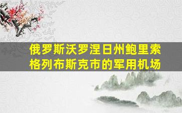 俄罗斯沃罗涅日州鲍里索格列布斯克市的军用机场