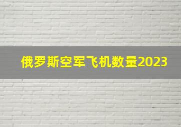 俄罗斯空军飞机数量2023