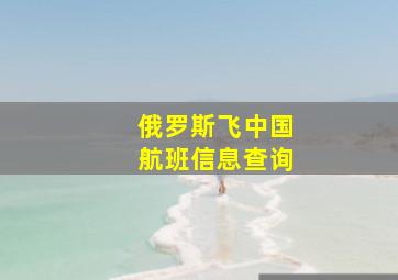 俄罗斯飞中国航班信息查询