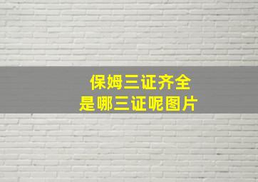 保姆三证齐全是哪三证呢图片