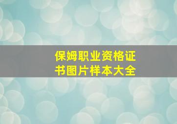 保姆职业资格证书图片样本大全