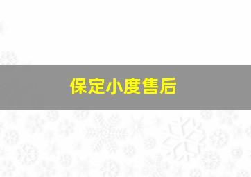 保定小度售后