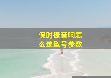 保时捷音响怎么选型号参数