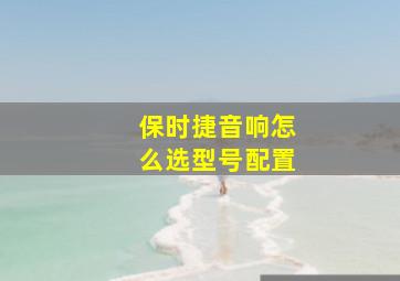 保时捷音响怎么选型号配置